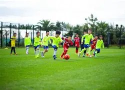 利雅得新月,逆转哈萨胜,鲁本,凤凰彩票,凤凰彩票官网,Phoenix,Lottery凤凰彩票官网,凤凰彩票官网玩家首选